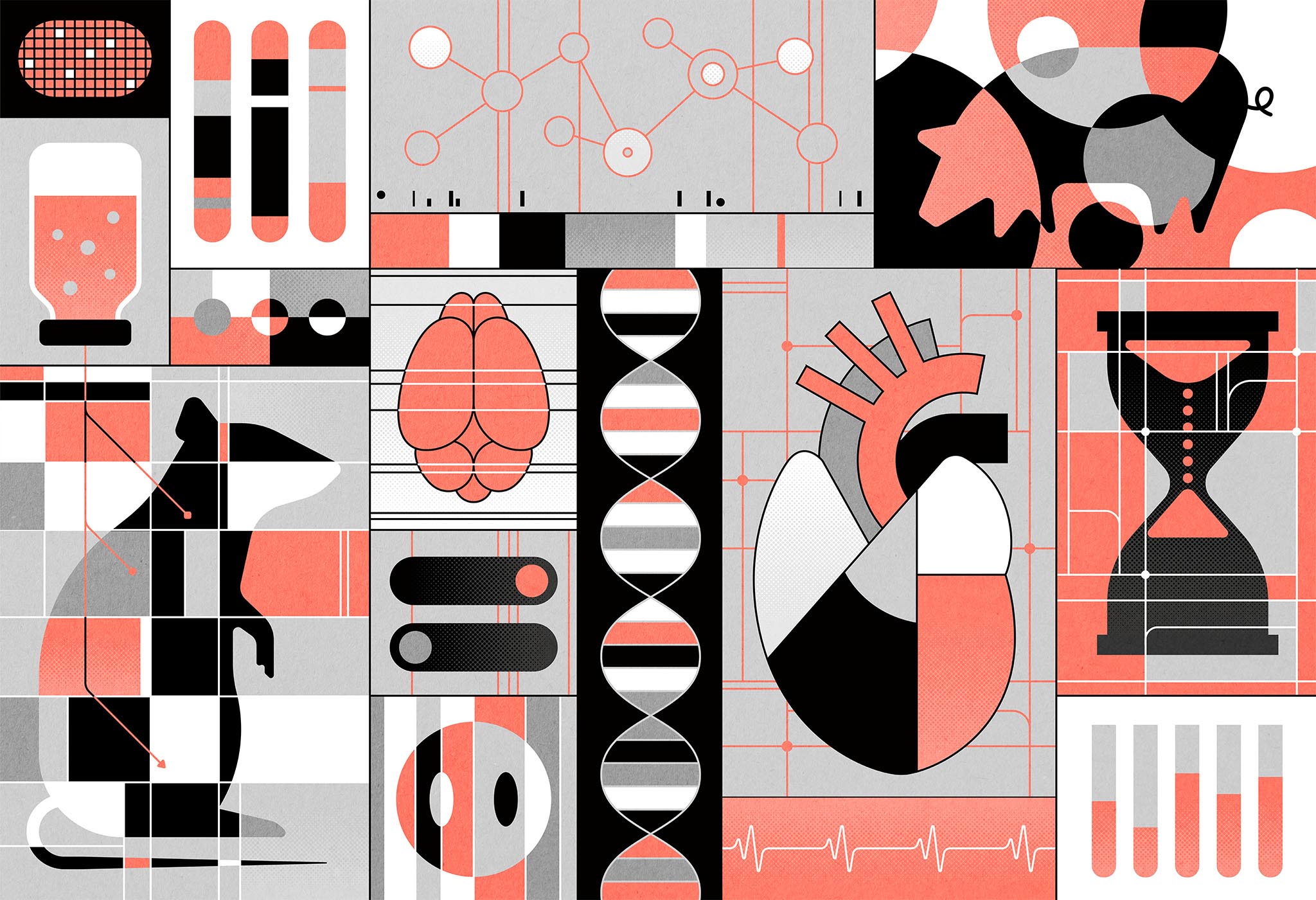 Reversal of Biological Age in Multiple Rat Organs by Young Porcine Plasma Fraction